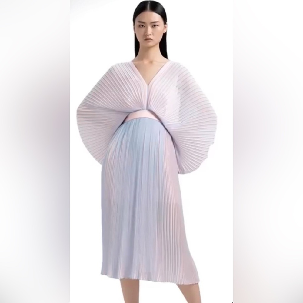 Elegant Pleated Dress with Flowing Sleeves